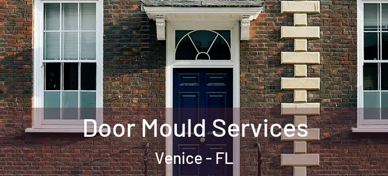 Door Mould Services Venice - FL