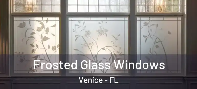 Frosted Glass Windows Venice - FL