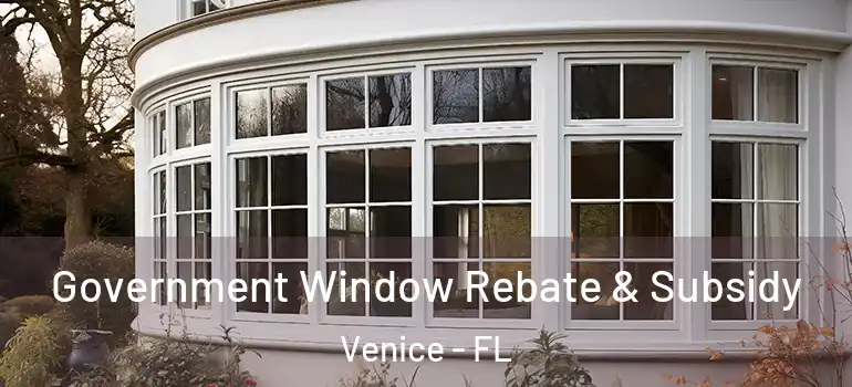 Government Window Rebate & Subsidy Venice - FL