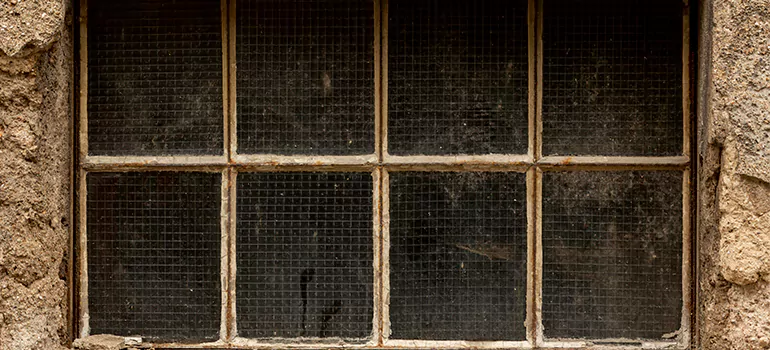 Traditional Double Front Doors in Venice, FL