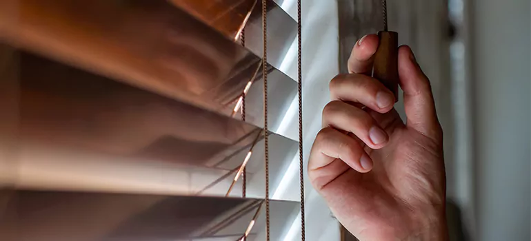 Double Roller Blinds in Venice, FL