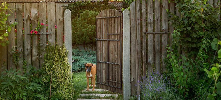 Winter Garden Garage Door Repair in Venice,[location field=state]