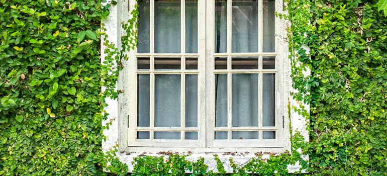 Garden Window Repair Near Me in Venice, FL