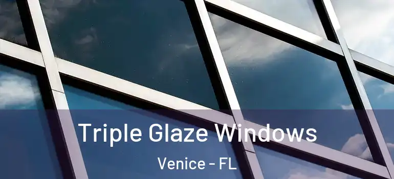 Triple Glaze Windows Venice - FL