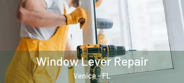 Window Lever Repair Venice - FL