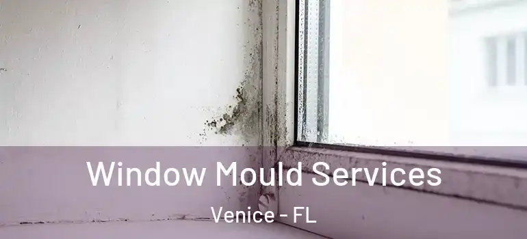 Window Mould Services Venice - FL