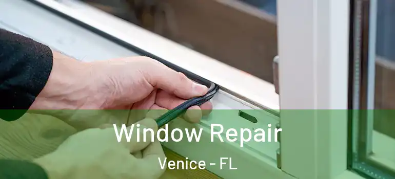 Window Repair Venice - FL